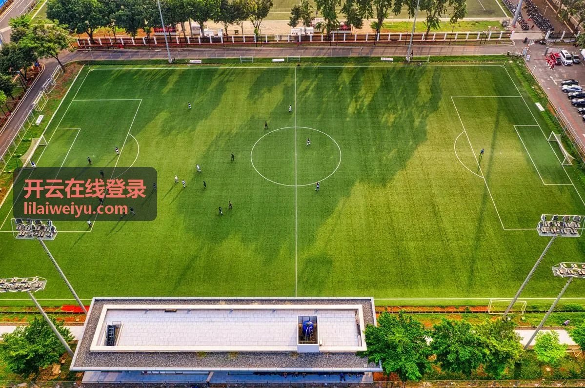 开云在线登录双重验证与安全设置页面